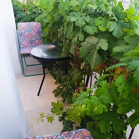 Alexandra's Coffee House Διαμέρισμα *